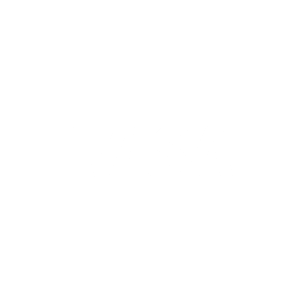 VISA logo
