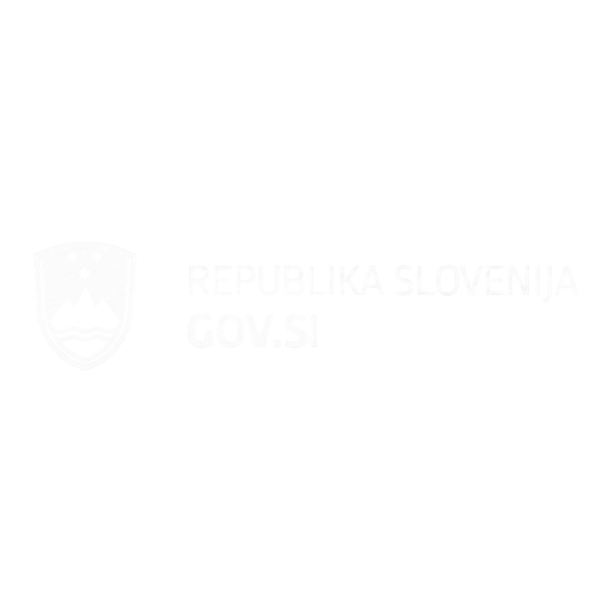 Skydance Drone Shows - Slovenian Government